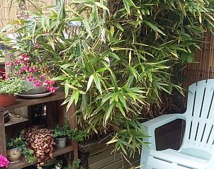 Unterkunft 450349 - Ferienhaus Noordzeekust - Zomerhuis De Graaff