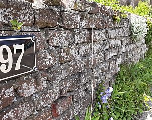 Guest house 450357 - Holiday property Noordzeekust - Zomerhuisjes de Bels