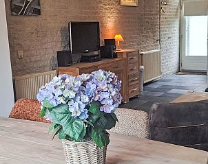 Unterkunft 4504149 - Ferienhaus Noordzeekust - Vakantiehuis Gemütlicher Bungalow für 4 Personen