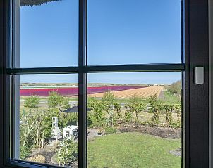 Unterkunft 4504185 - Ferienhaus Noordzeekust - Buitenplaats 113 Callantsoog