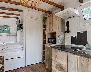Unterkunft 4504201 - Ferienhaus Noordzeekust - Tiny chalet In Ons Tuintje