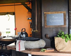 Unterkunft 4504222 - Ferienhaus Noordzeekust - Beach Lodge (Groot)