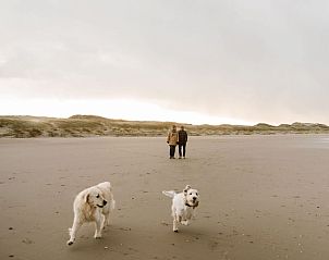 Unterkunft 4504222 - Ferienhaus Noordzeekust - Beach Lodge (Groot)