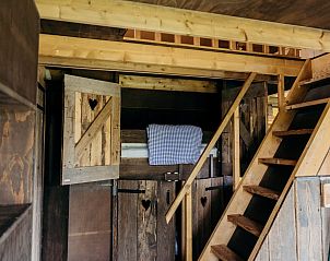 Verblijf 4504232 - Tenthuis Noordzeekust - Wood Lodge