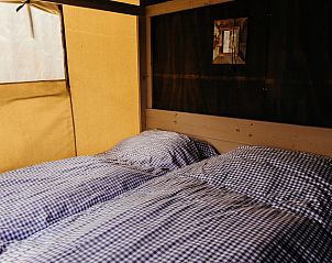 Verblijf 4504232 - Tenthuis Noordzeekust - Wood Lodge