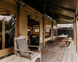 Verblijf 4504232 - Tenthuis Noordzeekust - Wood Lodge