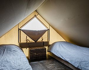 Verblijf 4504232 - Tenthuis Noordzeekust - Wood Lodge