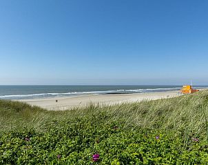 Unterkunft 4504275 - Ferienhaus Noordzeekust - Previnaireweg 34