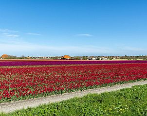 Unterkunft 4504359 - Ferienhaus Noordzeekust - De Buitenplaats 7