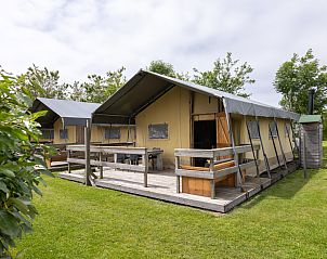 Unterkunft 4504559 - Zelthaus Noordzeekust - «Safaritent» 4