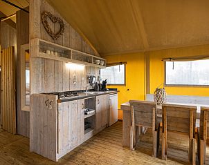 Unterkunft 4504559 - Zelthaus Noordzeekust - «Safaritent» 4