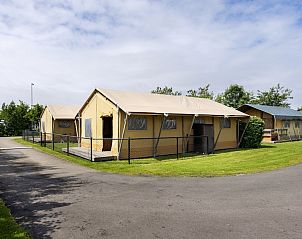 Unterkunft 450478 - Zelthaus Noordzeekust - Safaritent 5K