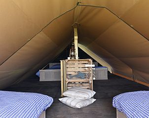 Unterkunft 450485 - Zelthaus Noordzeekust - Beach Lodge Luxe