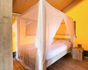 Verblijf 450494 - Tenthuis Noordzeekust - Safaritent 6 persoons.