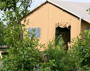 Verblijf 450494 - Tenthuis Noordzeekust - Safaritent 6 persoons.