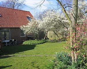 Unterkunft 450533 - Ferienhaus Noordzeekust - 25873