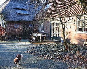 Unterkunft 450533 - Ferienhaus Noordzeekust - 25873
