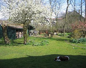 Unterkunft 450533 - Ferienhaus Noordzeekust - 25873