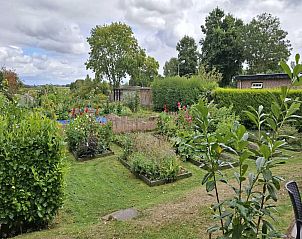 Unterkunft 450534 - Ferienhaus Noordzeekust - Fancy