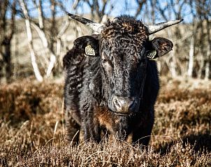 Verblijf 450607 - Bungalow Noordzeekust - AanNoordzee.nl