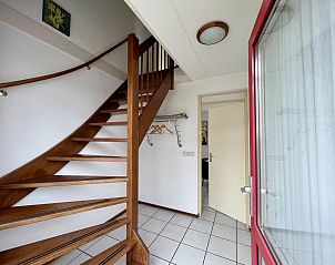 Unterkunft 4506160 - Ferienhaus Noordzeekust - Campanula 55