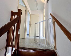 Unterkunft 4506160 - Ferienhaus Noordzeekust - Campanula 55