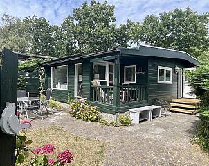Unterkunft 4506166 - Ferienhaus Noordzeekust - Campanula 173
