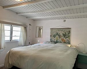 Unterkunft 4506166 - Ferienhaus Noordzeekust - Campanula 173