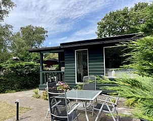 Unterkunft 4506166 - Ferienhaus Noordzeekust - Campanula 173