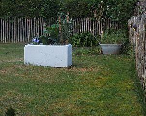 Unterkunft 450680 - Ferienhaus Noordzeekust - Duinland 65