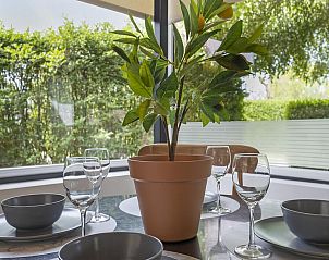 Unterkunft 450693 - Ferienhaus Noordzeekust - Duinland 15