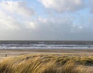 Unterkunft 450747 - Ferienhaus Noordzeekust - Beach 15-6