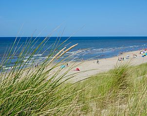 Unterkunft 450747 - Ferienhaus Noordzeekust - Beach 15-6