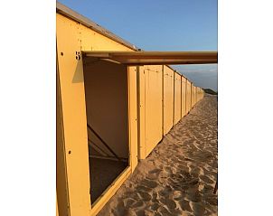 Unterkunft 451124 - Ferienhaus Noordzeekust - 573426