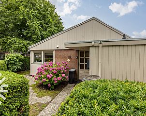Unterkunft 451702 - Ferienhaus Noordzeekust - NH294