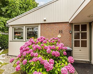 Unterkunft 451702 - Ferienhaus Noordzeekust - NH294