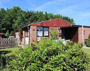 Unterkunft 451714 - Ferienhaus Noordzeekust - 43020