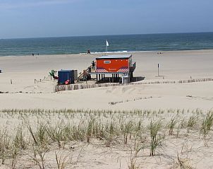 Unterkunft 451714 - Ferienhaus Noordzeekust - 43020