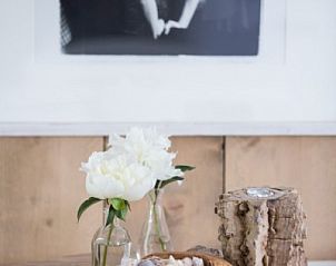 Unterkunft 451751 - Ferienhaus Noordzeekust - Vakantiehuis 'Zilte Zee'