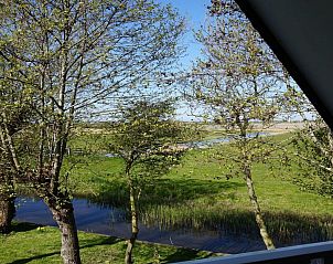Unterkunft 452016 - Ferienhaus Noordzeekust - Vogelvrij 4