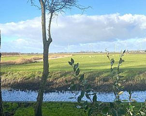 Unterkunft 452016 - Ferienhaus Noordzeekust - Vogelvrij 4