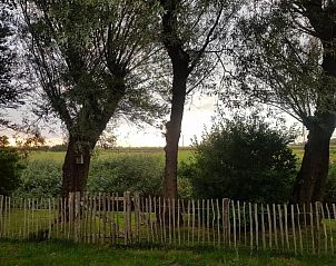 Unterkunft 452017 - Ferienhaus Noordzeekust - Vogelvrij 5
