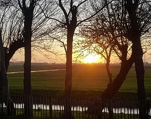 Unterkunft 452017 - Ferienhaus Noordzeekust - Vogelvrij 5