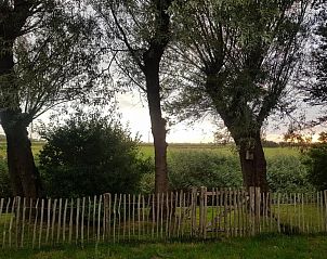 Unterkunft 452017 - Ferienhaus Noordzeekust - Vogelvrij 5