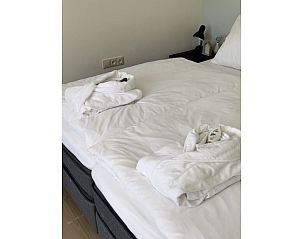 Unterkunft 452504 - Ferienhaus Noordzeekust - 437550