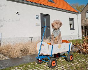 Unterkunft 452937 - Ferienhaus Noordzeekust - Buiten aan Zee - 54