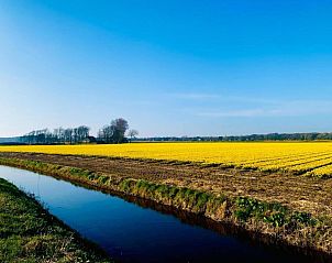 Unterkunft 453084 - Ferienhaus Noordzeekust - Het Roefje