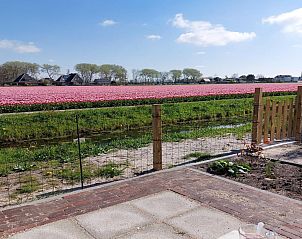 Unterkunft 453750 - Ferienhaus Noordzeekust - Eureka 102