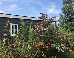 Unterkunft 453759 - Ferienhaus Noordzeekust - 140588