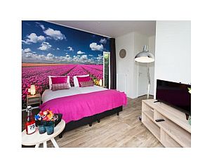 Unterkunft 453815 - Ferienhaus Noordzeekust - 782001